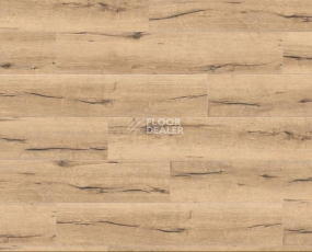 Ламинат Haro Tritty 100 Campus 4V ДУБ ИТАЛИКА КРЕМОВЫЙ 532060 фото 1 | FLOORDEALER